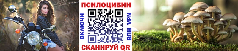 цены   Петровск  Галлюциногенные грибы прущие грибы 