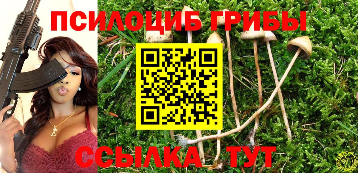 Псилоцибиновые грибы ЛСД  Петровск 