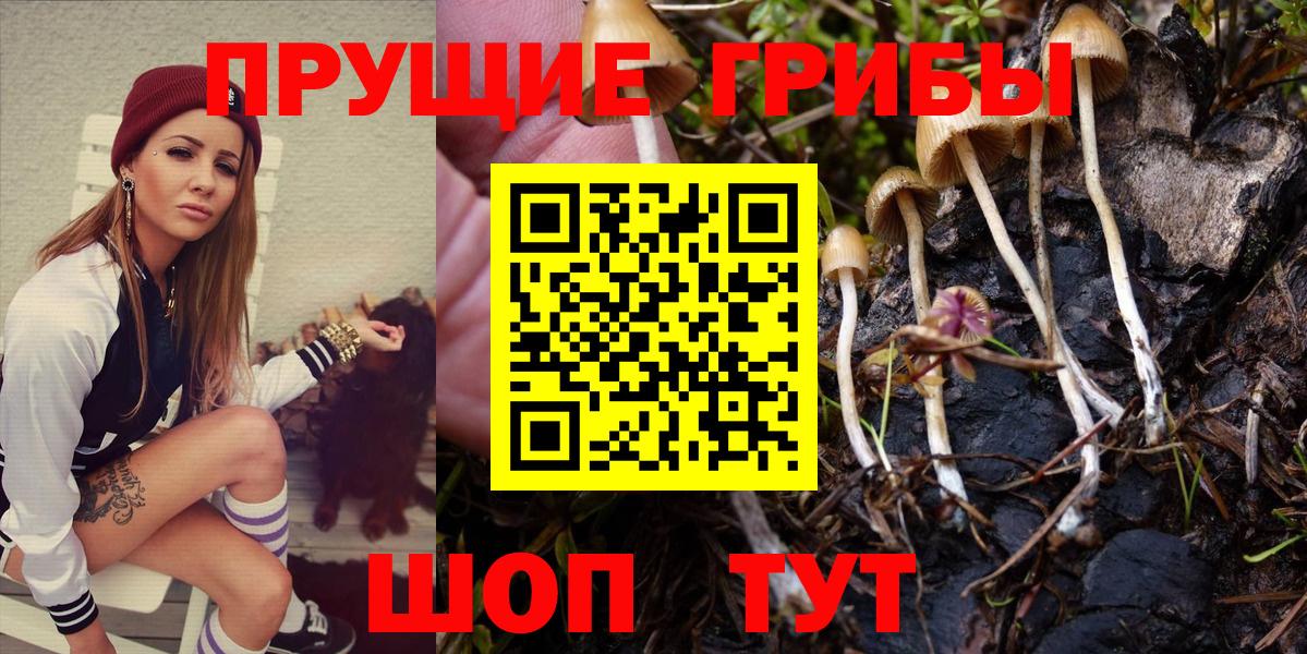 Галлюциногенные грибы прущие грибы Петровск