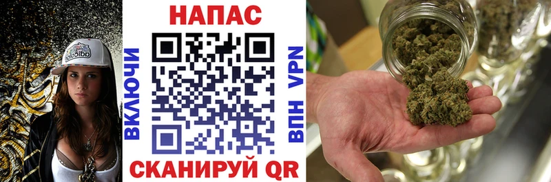 где можно купить наркотик  Петровск  blacksprut онион  Канабис Bruce Banner 