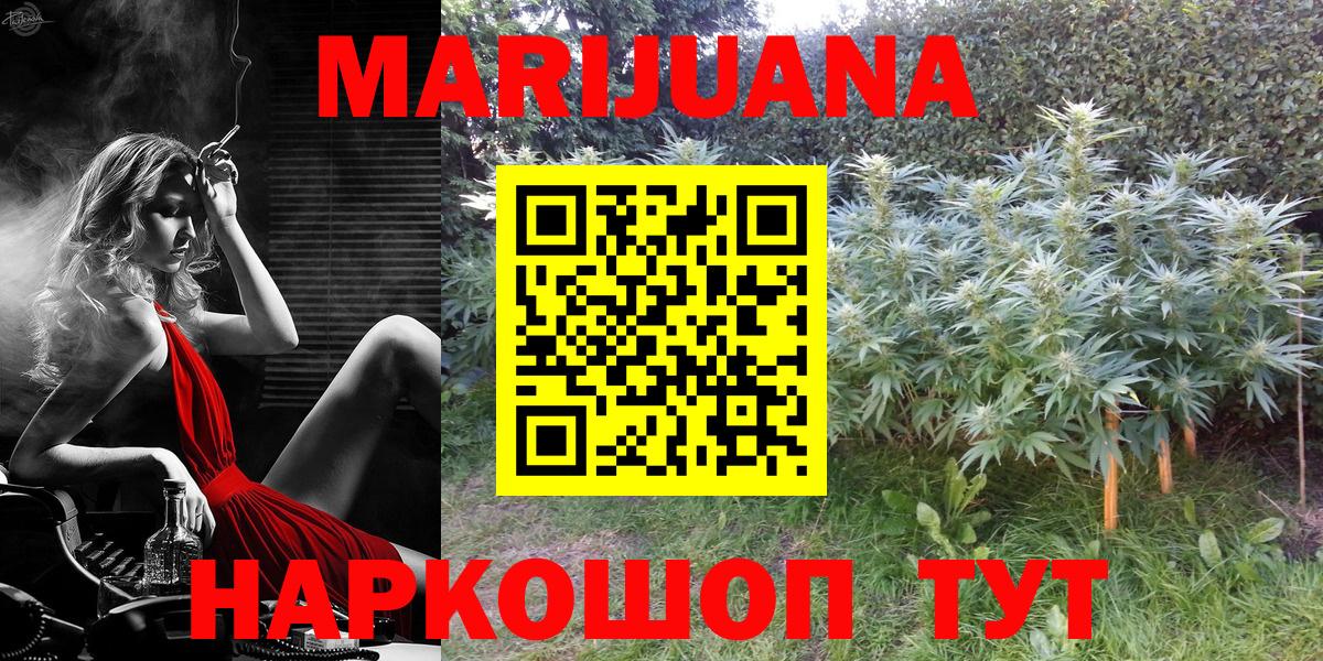 Канабис гибрид  Петровск  Бошки Шишки THC 21% 